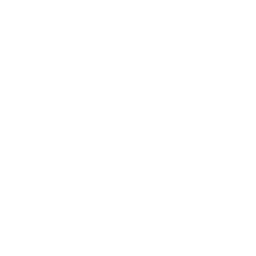 briefcase
