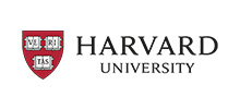 manage-international-teams-harvard