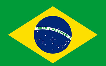 Descripción de la imagen