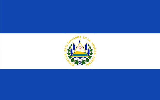 Descripción de la imagen